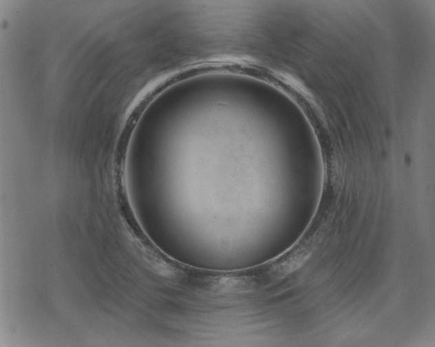 X0000072941412200607211050