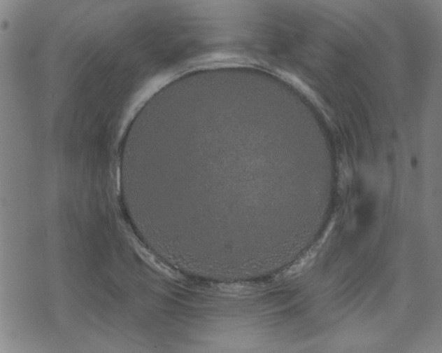 X0000072941413200607211050