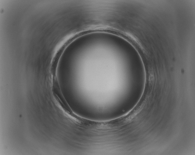 X0000072941414200607211050