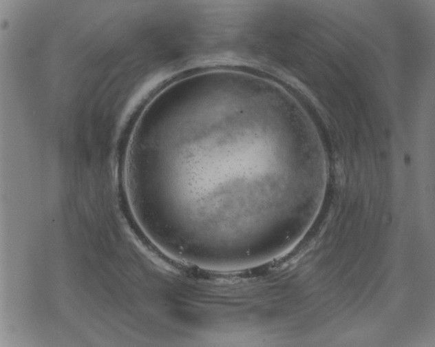 X0000072941416200607211050