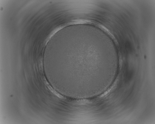 X0000072941417200607211050