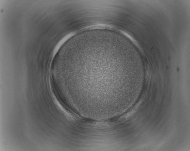 X0000072941418200607211050