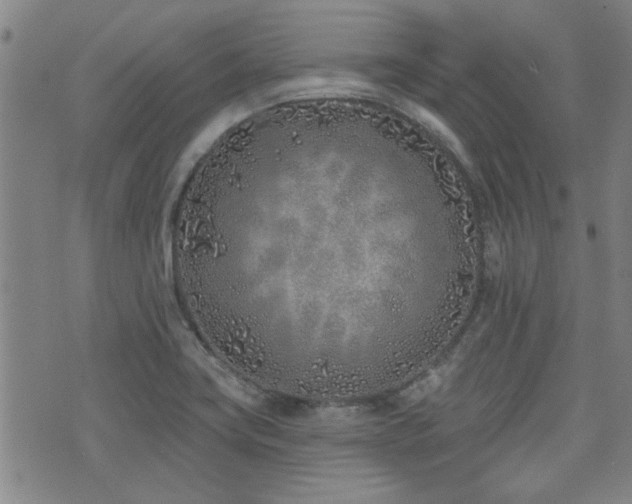 X0000072941419200607211050