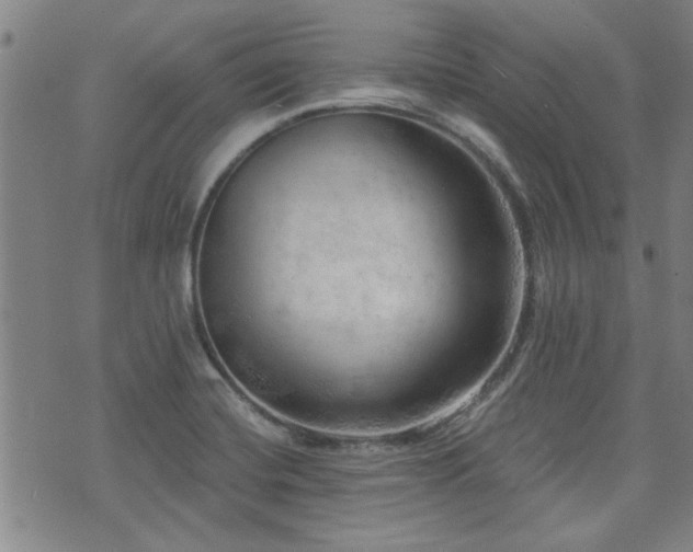 X0000072941420200607211050