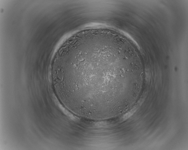 X0000072941421200607211050