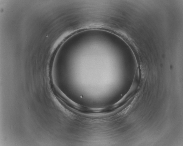 X0000072941422200607211050