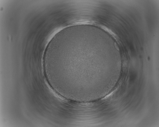 X0000072941423200607211050