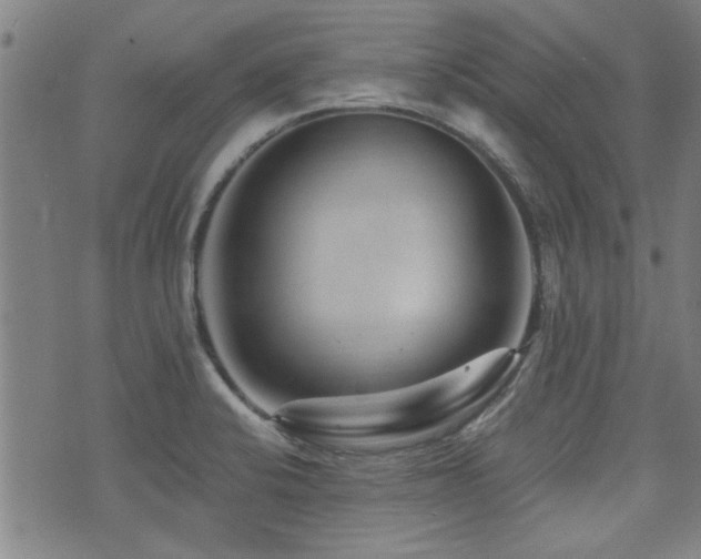 X0000072941424200607211050