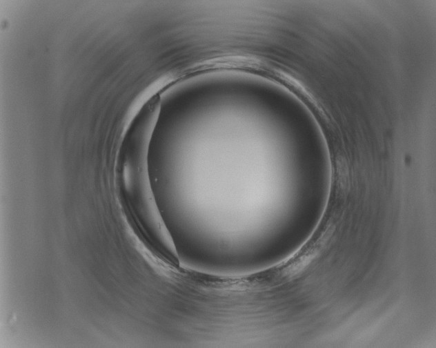 X0000072941426200607211050