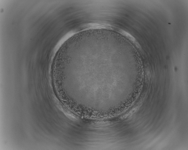 X0000072941427200607211050