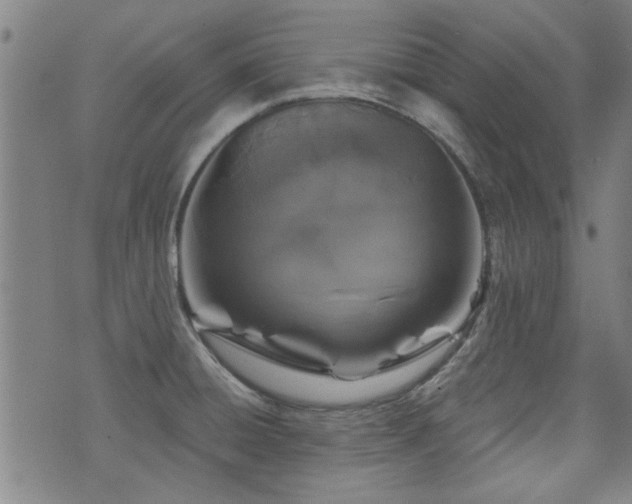 X0000072941428200607211050