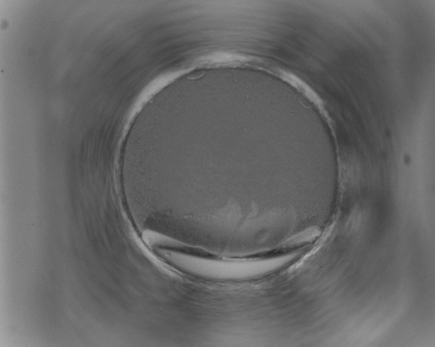 X0000072941429200607211050