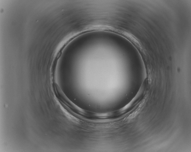 X0000072941430200607211050