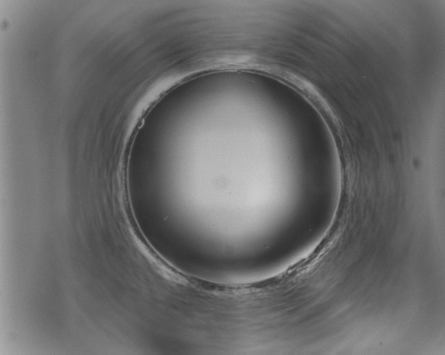 X0000072941432200607211050