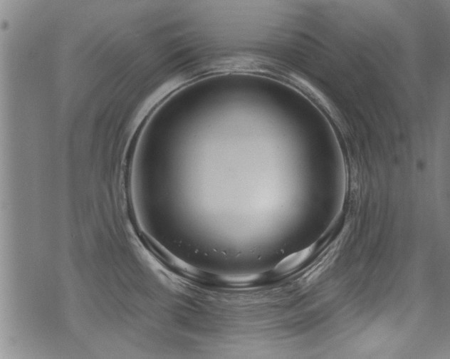 X0000072941434200607211050