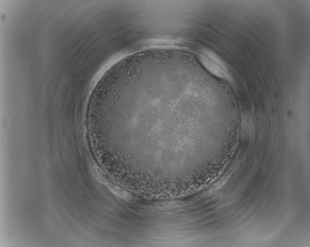 X0000072941435200607211050