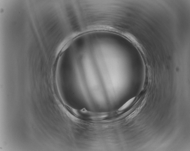 X0000072941438200607211050