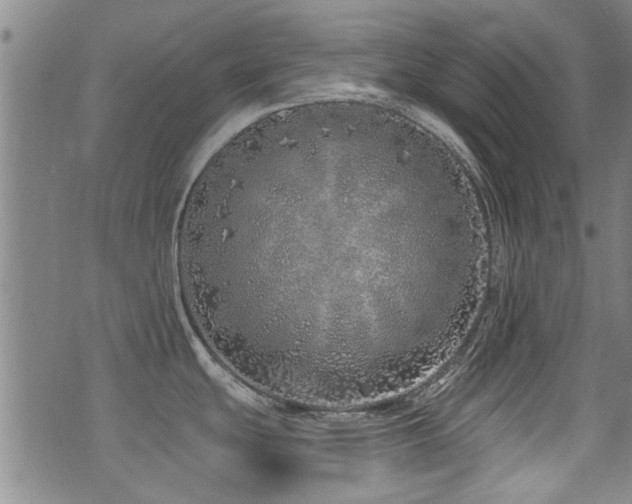 X0000072941439200607211050