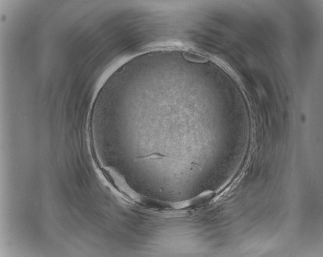 X0000072941440200607211050