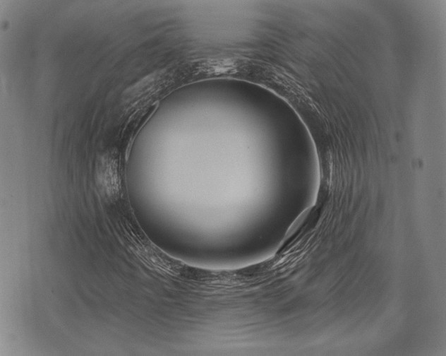 X0000072941442200607211050