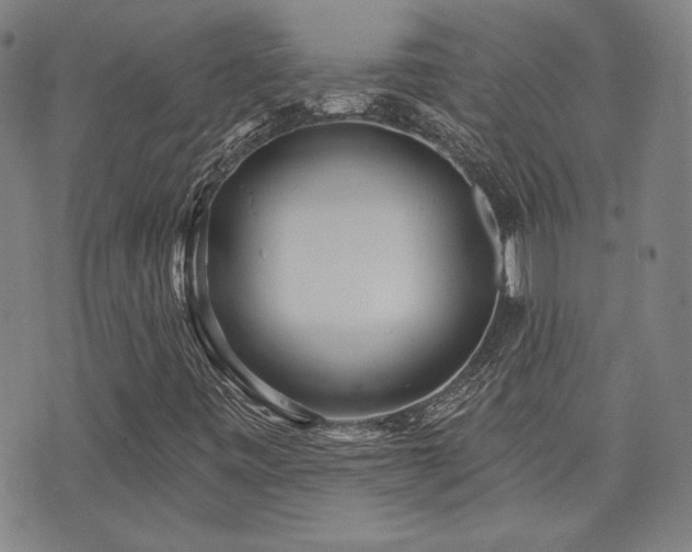 X0000072941443200607211050