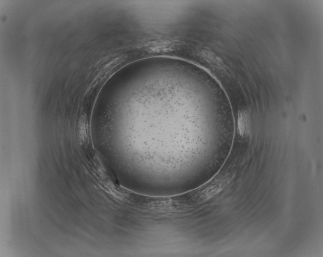 X0000072941444200607211050