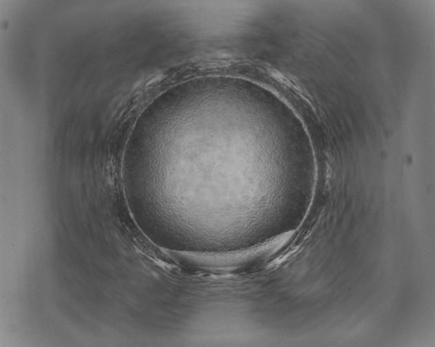 X0000072941445200607211050