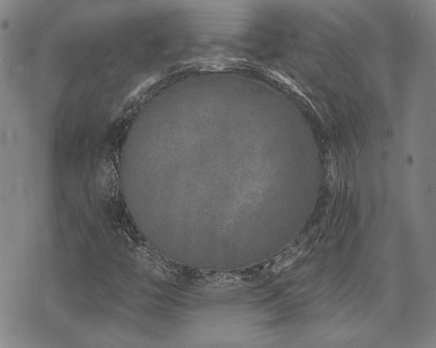 X0000072941446200607211050