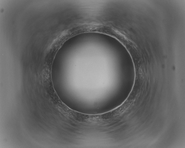 X0000072941447200607211050