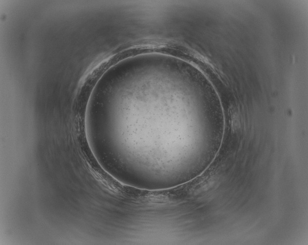 X0000072941448200607211050