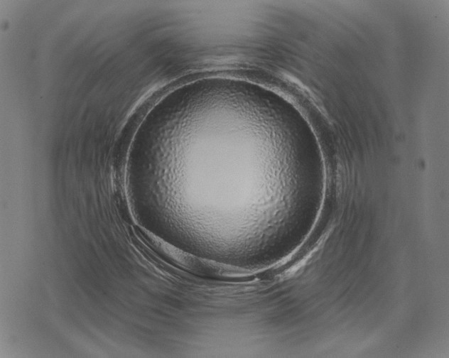 X0000072941449200607211050