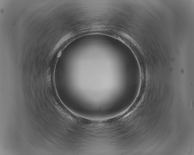 X0000072941450200607211050