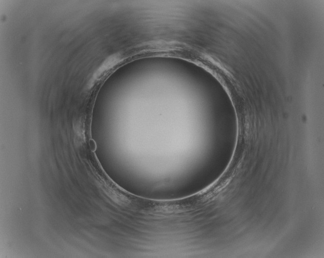 X0000072941451200607211050