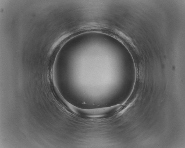 X0000072941453200607211049