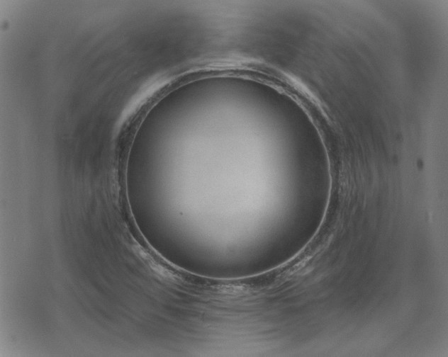 X0000072941456200607211049