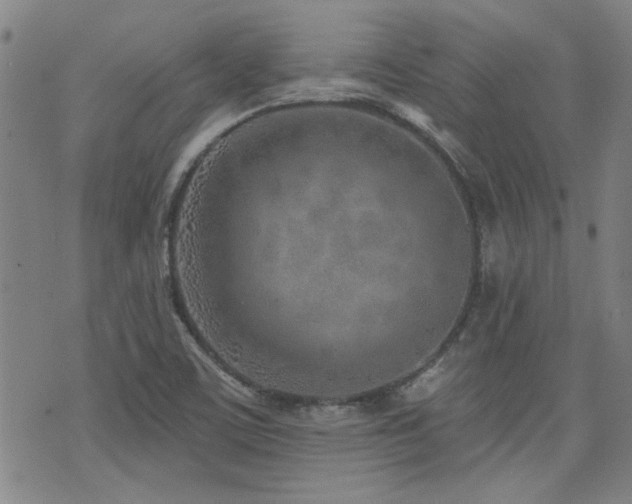 X0000072941459200607211049