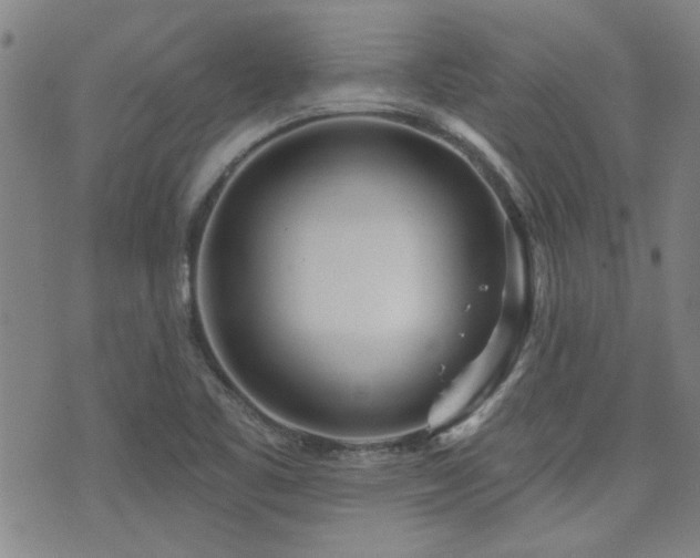 X0000072941461200607211049