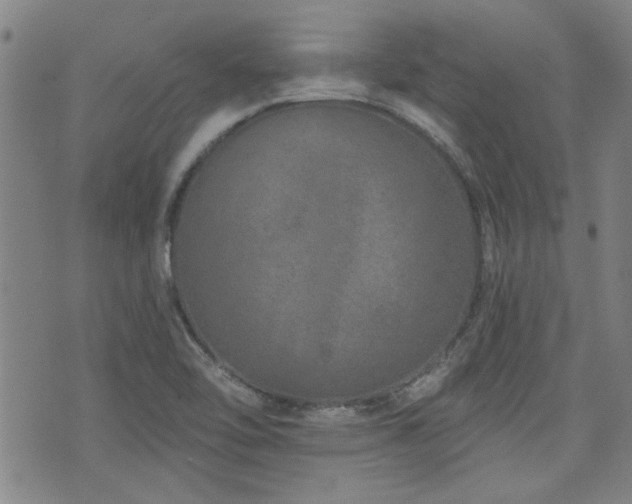 X0000072941462200607211049