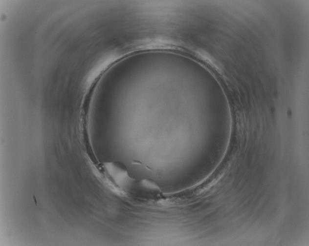 X0000072941463200607211049