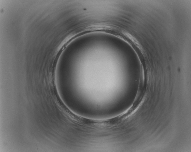 X0000072941465200607211049