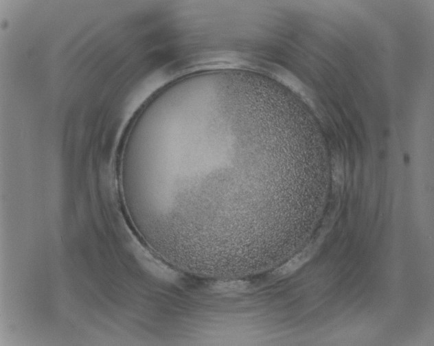 X0000072941466200607211049