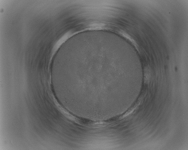 X0000072941467200607211049