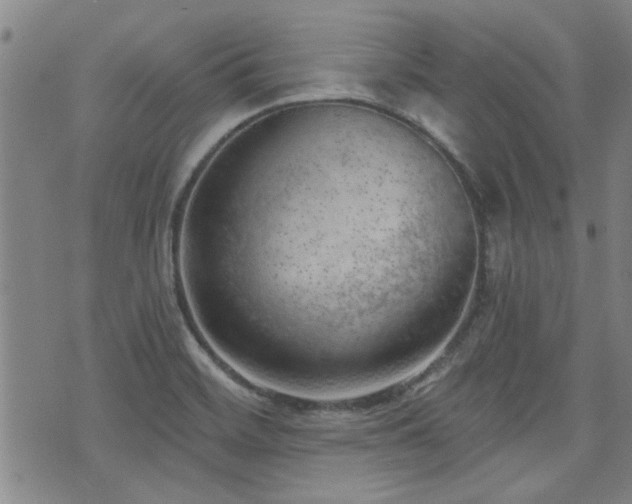 X0000072941468200607211049