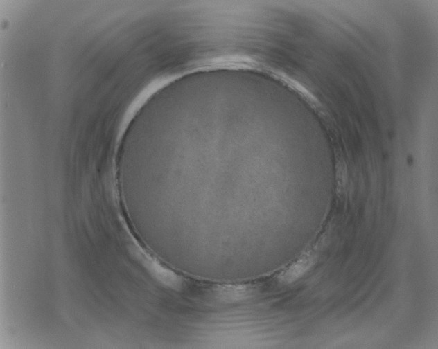 X0000072941470200607211049