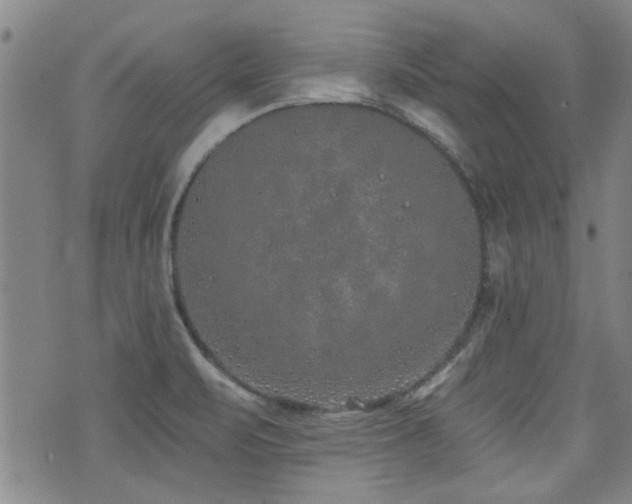 X0000072941471200607211049