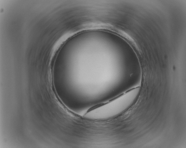 X0000072941472200607211049