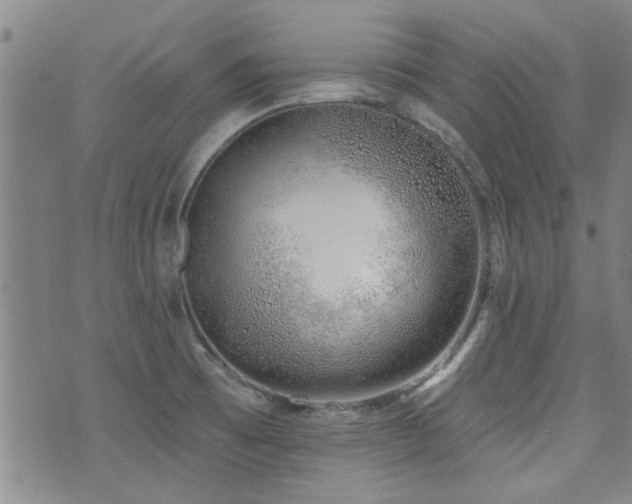 X0000072941473200607211049