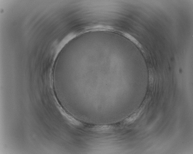 X0000072941474200607211049