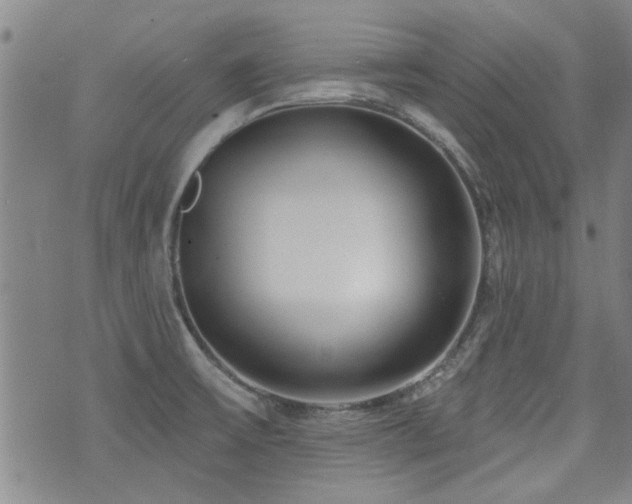 X0000072941475200607211049