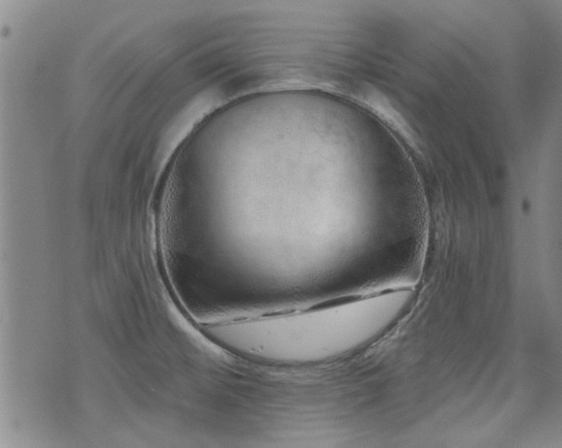 X0000072941476200607211049